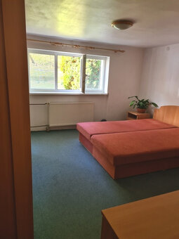 Zaujímavá väčšia nehnuteľnosť na bývanie, podnikanie - 11