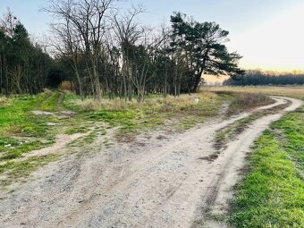 Veľký Pozemok 45 172 m² pri Malých Levároch - 11