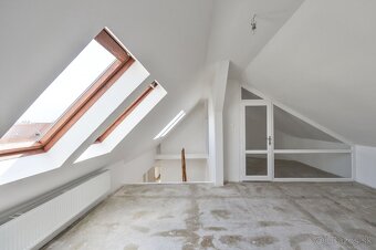 Prodej prostoru 5+kk/T s možností bydlení a podnikání - 11