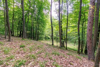 Pozemok v lone prírody s potôčikom– ideálny pre vašu vysníva - 11