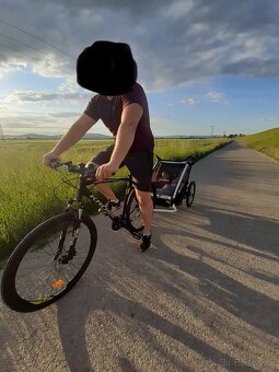 Thule Chariot Lite 2 detský vozík, agáve - 11