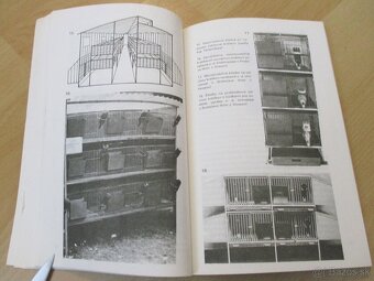 Chováme králiky - 4 - 11