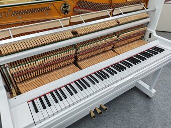 Hohner Jedinečná kvalita dovoz celá SR - 11