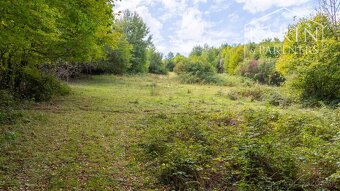 Stavebný pozemok určený na výstavbu rodinných domov 9629 m2 - 11