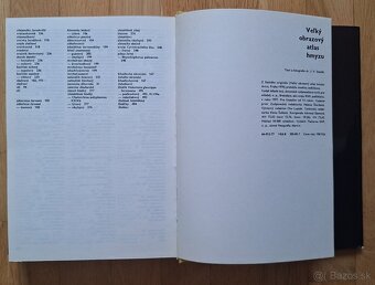 Velky obrazovy atlas hmyzu - 11