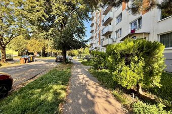 | garzónka na začiatku Petržalky,Vilová ul., 20 m2 REZERVOVA - 11