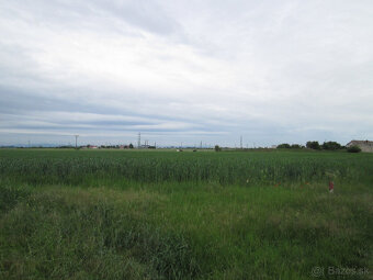 stavebny pozemok kosuty - 11