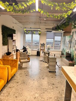 Krásny priestor s veľkou terasou - 11