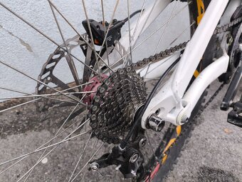 Specialized Big Hit (2010) - 11