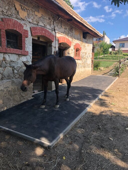 Gumená podlaha - 11