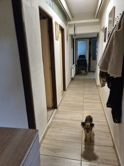 Predám 4 izb. rodinný dom - 11