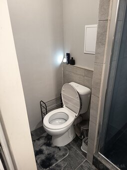 Prenájom 1izb byt - 11