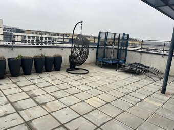 3 izb. byt s terasou, Žltá ul., novost. SLNEČNICE - 11