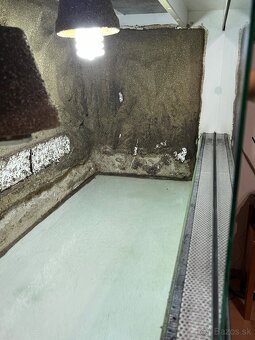 Terarium - 11