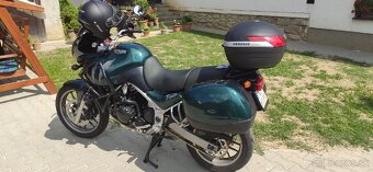 Triumph Tiger 955i - 11
