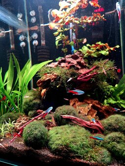 Akvárium NanoCube Dennerle 60l - 11