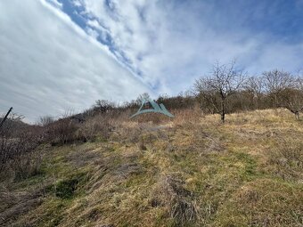 Na predaj: Rekreačný svahovitý pozemok v Šahách -11527m - 11