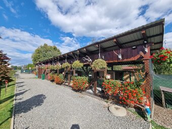 Voliery , klietky - 11