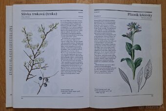Velka kniha liecivych rastlin - 11