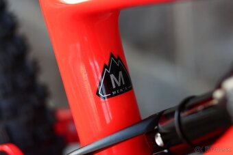 ✅ Specialized Turbo Levo Comp Carbon (2019) - M - ✅ - 11