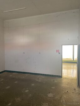 BUDOVA NA PREDAJ - 11