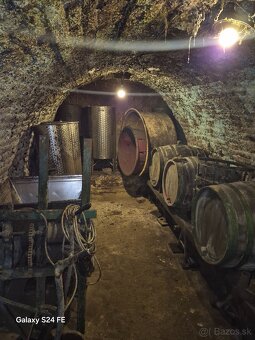 Pivničná chata v známej vinohradníckej oblasti - 11