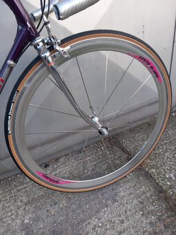 Vintage daccordi - 11