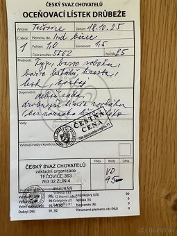 Zdrobnělá amrokska - 11