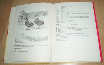 Plemená drubeže - 11