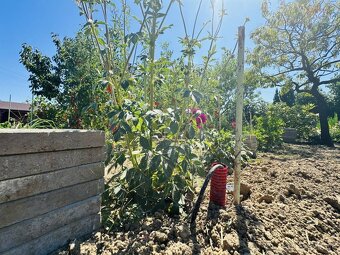Predaj pozemok (záhrada) 358m2 Nitra – Chrenová - 11