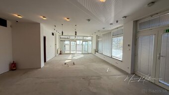 Viacúčelový priestor s terasou a parkovaním na predaj – Kadn - 11