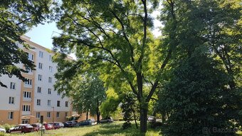 Prenájom 2-izbového bytu v centre Trnavy – Hospodárska 27 - 11