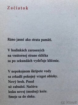 Válek, Štrpka, Ginsberg, Poe, Hemingway, Groch, Krasko - 11