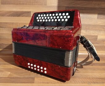 Akordeon, harmonika, heligonka - 11