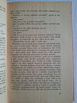 Ernest Hemingway mať a nemať - 11