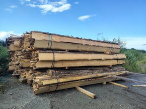Palivové drevo metrovica klatiky obrezky buk dub - 11