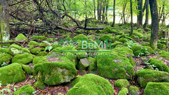 Slnečné pozemky 11434 m2, Michalková - 11