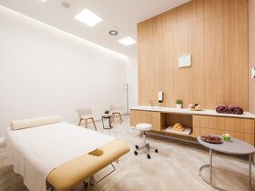 Voľné kancelárie, Slovnaftská ul. (Ružinov) - 11