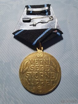 Vyznamenanie , Slovensky stat , zelezny kriz , odznak - 11