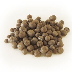 Svetelný koreň - semiačka, jednoročky, čerstvý, prášok - 11