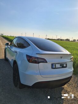 Tesla Model Y - 11