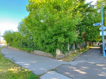 ♻️Čistenie pozemkov, kosenie, mulčovanie.♻️ - 11