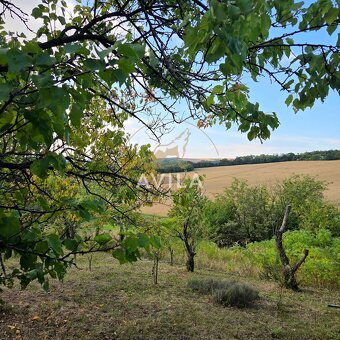 416 m² zelene a pokoja – na predaj záhrada s chatkou v Čacht - 11