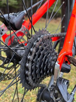 CTM raptor 2.0 2019 - 11