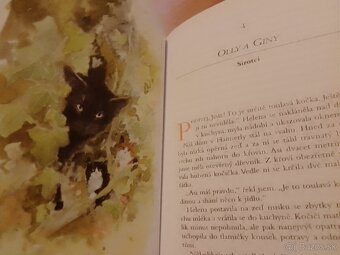 Knihy- mačky, zvieratá, levy, fínčina, Calm (v angličtine) - 11