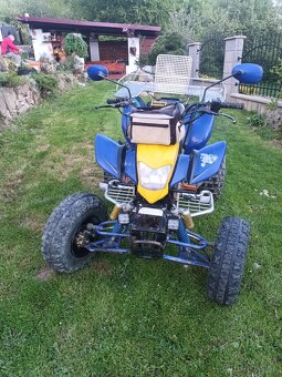 Bashan 200 - 11