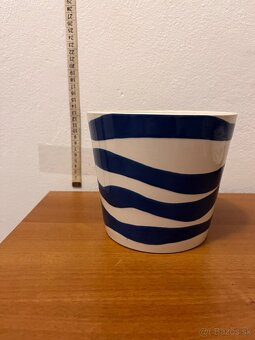 Kvetinče na predaj - 11