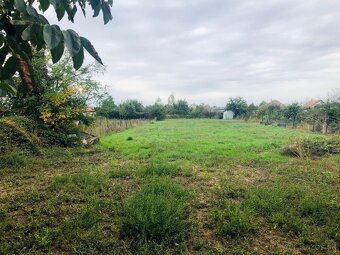 Na predaj RD v Nesvadoch po rekonštrukcii - 11