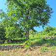 Murovaná chata s pozemkom 1.213 m2, Beckov - 11