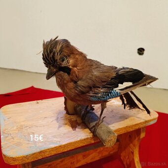 Rôzne preparáty na predaj - 11